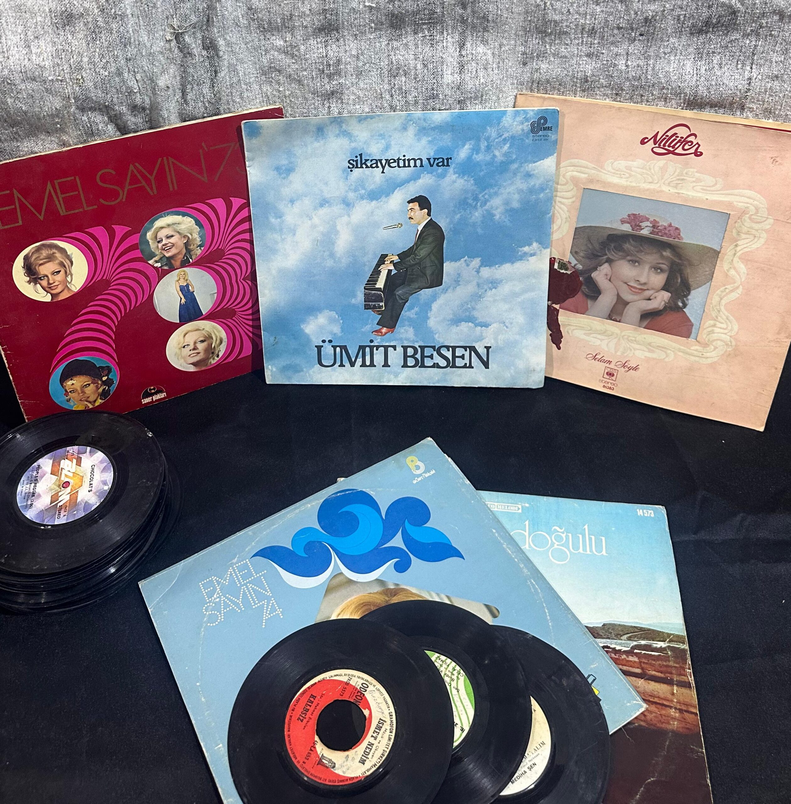 plak cesitleri scaled